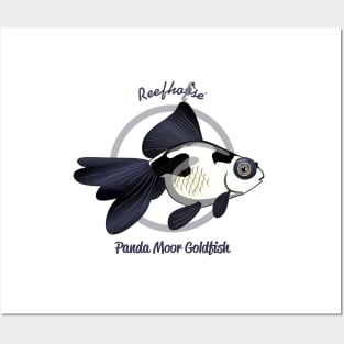 Panda Moor Goldfish Posters and Art